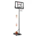 Basketball Hoop & Goal