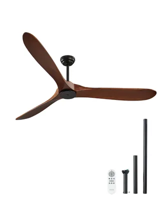Ceiling Fans