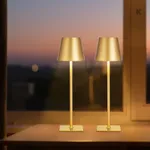 Cordless Table Lamp