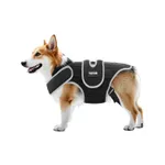 Dog Knee Brace