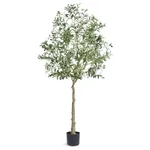 Home Decor & Window Treatments