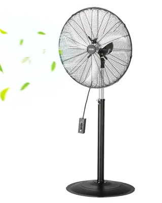 Pedestal Fans