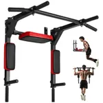 Wall Mounted Pull Up Bar